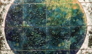 Exposição de Desenho, Pintura e Cerâmica de Ana Loureiro