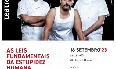 A Estupidez e os Estúpidos e Incertezas entre Movimentos em Palco