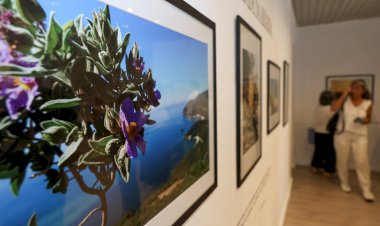 Exposição “A Espiritualidade da Arrábida” convida à reflexão