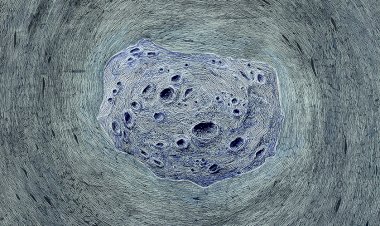 Exposição de fotografia de José António Quintanilha inaugura sexta-feira na Sala da Cidade