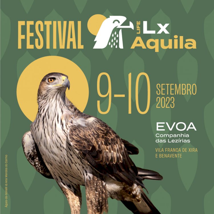Festival celebra as águias da região