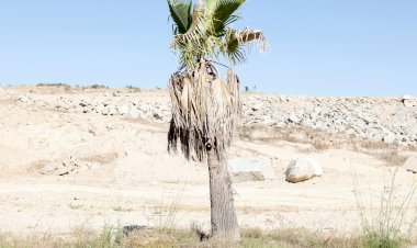 Performance Terceira Pessoa apresenta um programa digital só visível In Loco