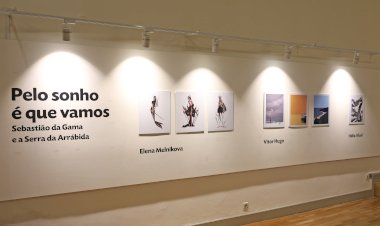Festa da Ilustração em Setúbal com novas exposições faz homenagem a Laura Costa