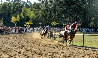 Hipódromo Municipal de Celorico de Basto em Carvalho repleto para assistir à corrida das Vindimas