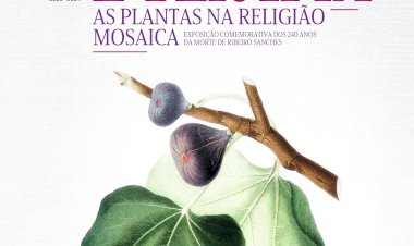 Exposição “Aroma, ritual e terapia - As plantas na religião mosaica” assinala os 240 anos da morte de Ribeiro Sanches