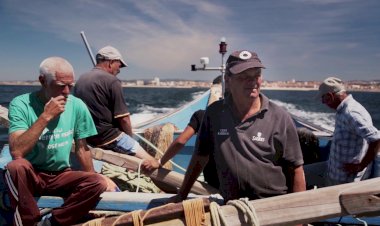 Município de Ílhavo apresenta  Mar Film Festival de 26 a 29 de Outubro