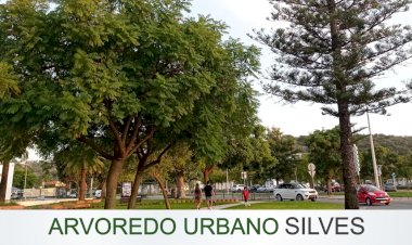 Arvoredo urbano do Concelho de Silves