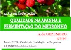 Acção de Promoção da qualidade na apanha e fermentação do medronho
