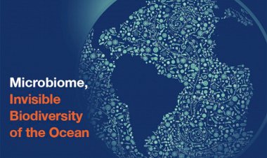 “Microbioma, a Biodiversidade Invisível do Oceano”