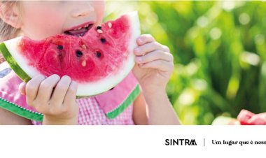 Câmara de Sintra leva projecto de alimentação saudável a mais escolas