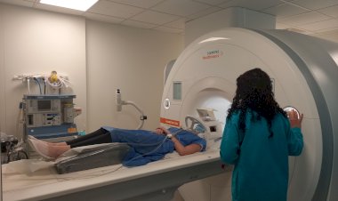 Cientistas identificam estratégias usadas pelo cérebro para reconhecer objectos