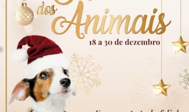 Canil Municipal de Tarouca promove Campanha de Adopção