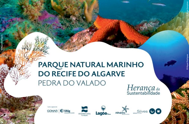 Parque Natural Marinho do Recife do Algarve – Pedra do Valado