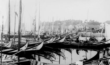 Premiados do Concurso de Jogos Florais e do Prémio de Fotografia da Murtosa