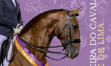 Feira do Cavalo de Ponte de Lima