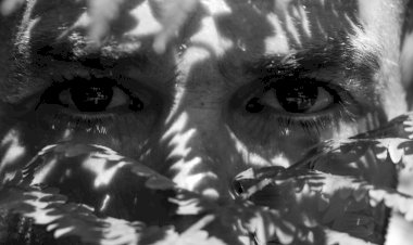 Exposição de Fotografia "Olhares", de Luís Carlos