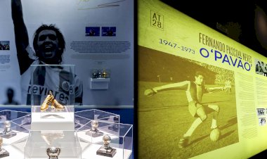 Museu prolonga exposições dedicadas a Gomes e Pavão