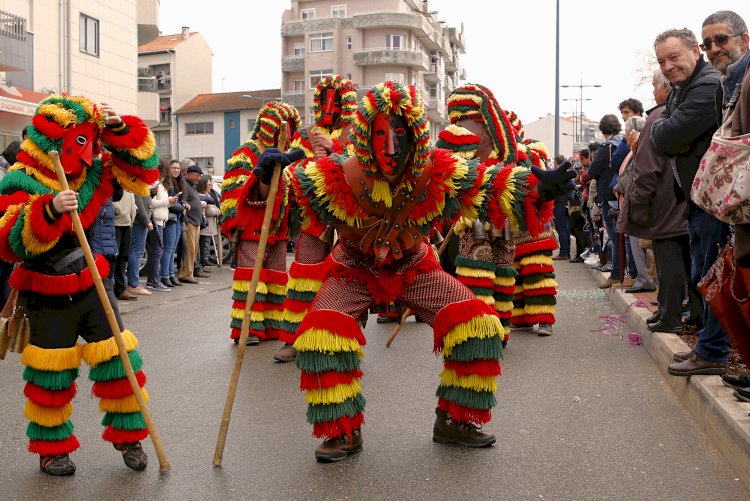 Desfile de Carnaval regressa a Oliveira do Bairro no "Domingo Magro"