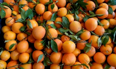 Mercado Municipal de Portimão volta a dedicar uma semana à laranja