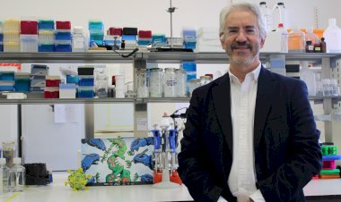 Universidade de Coimbra | Terapias inovadoras para doenças graves e sem tratamento