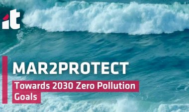 MAR2PROTECT | DKC de Viana integra o LivingLab do estuário do Rio Lima