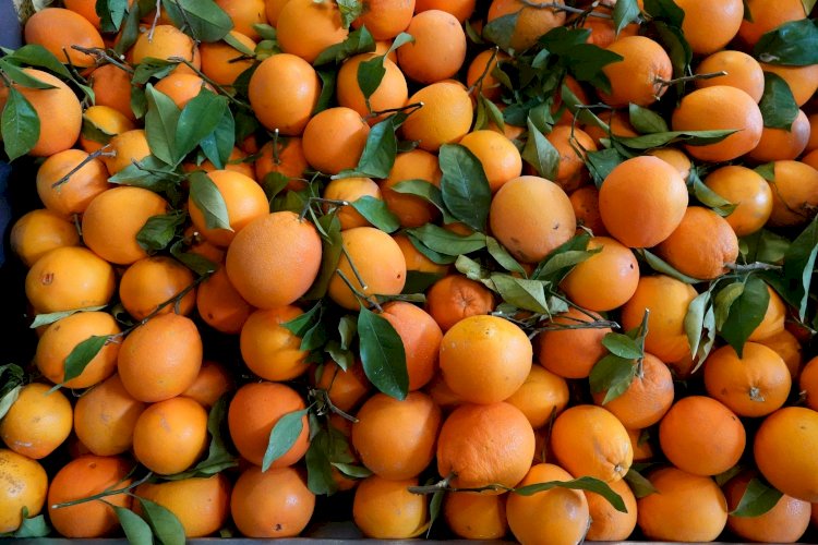 Mercado Municipal de Portimão volta a dedicar uma semana à laranja