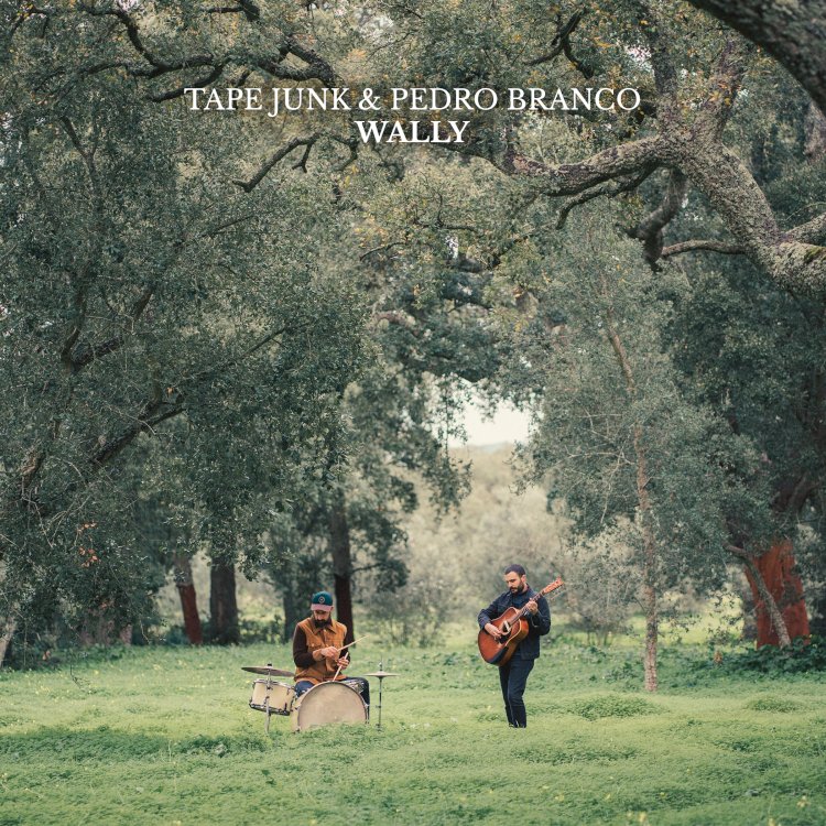 Tape Junk & Pedro Branco | “Wally” – single já disponível