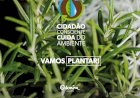 Odemira assinala Dia Mundial da árvore com oferta de plantas à população