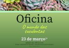 Oficina de “O Mundo das Suculentas”