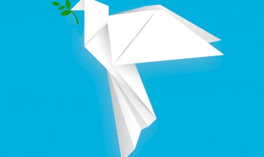 Biblioteca Municipal de Sardoal recebe exposição “Literatura pela Paz”