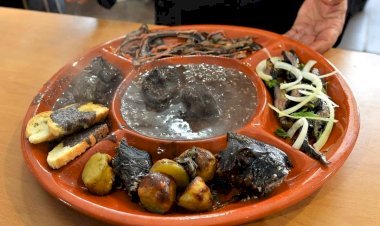 Festival Gastronómico da Lampreia | São Pedro da Torre - Valença