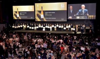 Melhores vinhos 2023 revelados nos Prémios Grandes Escolhas