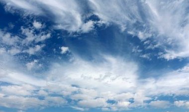 Sessões da iniciativa "Cultivar o Jardim" no Teatro-Cine de Torres Vedras