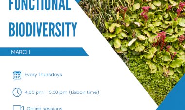 Food4Sustainability apresenta o ciclo de webinars