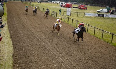 Hipódromo Municipal de Celorico de Basto recebeu o I Grande Prémio das Camélias