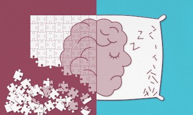 Universidade de Coimbra - Centro de Neurociências e Biologia Celular