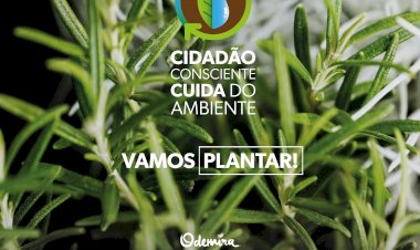 Odemira assinala Dia Mundial da árvore com oferta de plantas à população