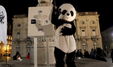 Hora do Planeta: já há data para o mundo se unir pela sustentabilidade