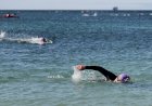 4.ª Edição do Setúbal Open Water Race, de regresso ao rio Sado