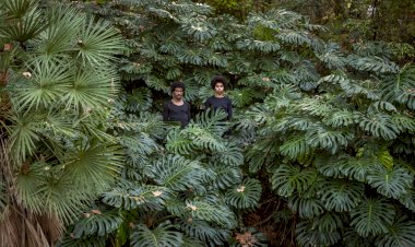 Projecto GREENHOUSE - 60.ª Exposição Internacional de Arte - La Biennale di Venezia