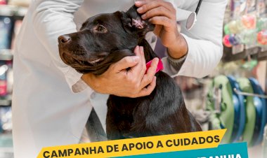 Município de Lamego oferece cuidados veterinários a famílias carenciadas
