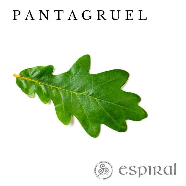 ESPIRAL lança novo single "Pantagruel"