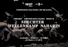 Tudo sobre Shechter/Wellenkamp/Naharin