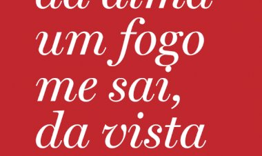 Câmara de Lisboa celebra o V centenário do nascimento de Luís de Camões 