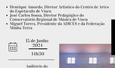 “Viseu, Artes e Cultura, eixo central para uma estratégia de desenvolvimento”