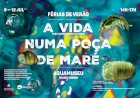 Abertas inscrições para as ‘Férias de Verão’ no Aquamuseu do Rio Minho