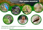 Vila de Rei divulga campanha de sensibilização sobre a preservação da fauna existente