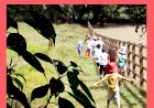 Férias de Verão em Serralves | Inscrições Abertas