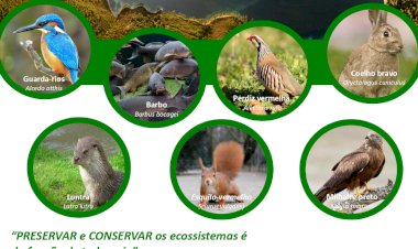 Vila de Rei divulga campanha de sensibilização sobre a preservação da fauna existente