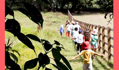 Férias de Verão em Serralves | Inscrições Abertas